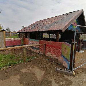 Revamp S.American walk through