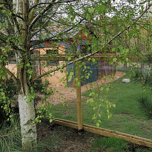 Revamp S.American walk through