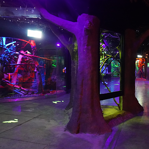 Apr. 2023 - Animals of the Night - Ringtail + Crested Porcupine Exhibits