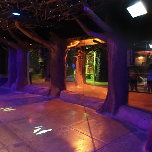 Apr. 2023 - Animals of the Night - Egyptian Rousette Bat, Greater Fishing Bat, Seba's Short-tailed Bat Exhibit