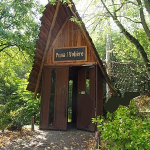 Access to the Puna aviary, 2022-08-20