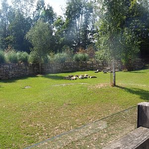 Pampas exhibit with Vicuña, Darwin's rhea and Lowland tapir, 2022-08-20