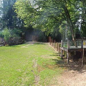 Pampas exhibit with Vicuña, Darwin's rhea and Lowland tapir, 2022-08-20