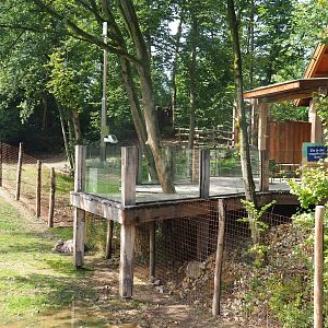 Pampas exhibit viewing area near toilet building, 2022-08-20
