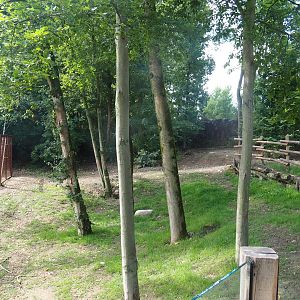 Darwin's rhea barn and separation paddock, 2022-08-20