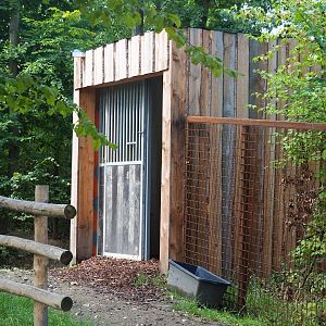 Darwin's rhea barn, 2022-08-20