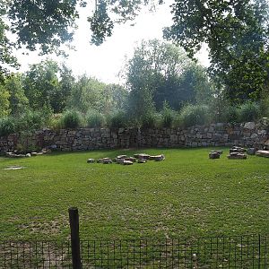 Pampas exhibit with Vicuña, Darwin's rhea and Lowland tapir, 2022-08-20