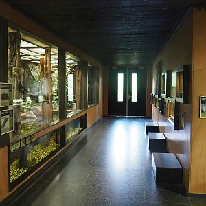 Interior of the terrarium and tapir house, 2022-08-20