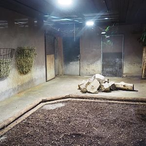 Lowland tapir indoor exhibit, 2022-08-20