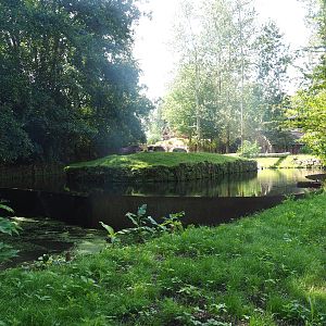 Existing lowland tapir exhibit, now part of the pampa exhibit with lowland tapirs, vicuñas and Darwin's rheas 2022-08-20