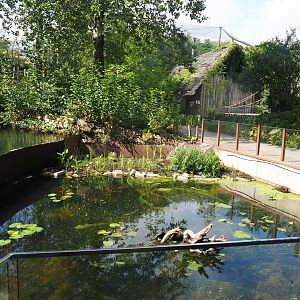 Planted pond (Former nutria exhibit), walkway and Saki/Callitrichid house, 2022-08-20