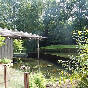 Planted pond (Former nutria exhibit) and Lowland tapir viewing area, 2022-08-20