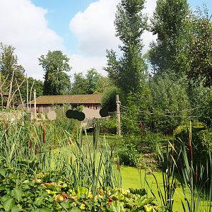 View in the South American primate and capybara area, 2022-08-20