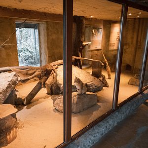 Sandcat enclosure part I