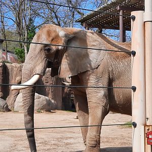 Willy striking a pose