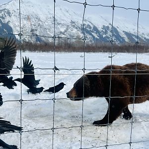 Interaction and Enrichment