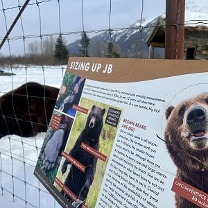Bear Information Sign