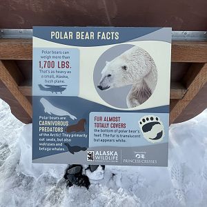 New Signs in time for Cruise Ship season