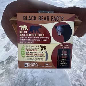 New Bear information sign