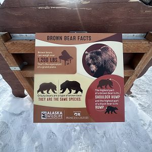 New Bear Information Sign