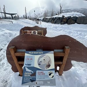 New Signs are emplaced behind Bear illustrations