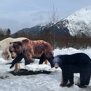 Folks setting up for photos will look down and see the signs