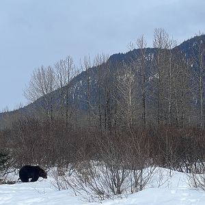 A bit of scale regarding this exhibit.