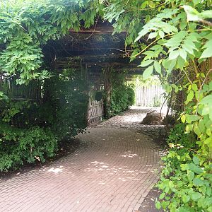 African wild dog and savanna paddock viewing area, 2022-08-20