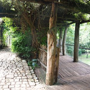 African wild dog and savanna paddock viewing area, 2022-08-20