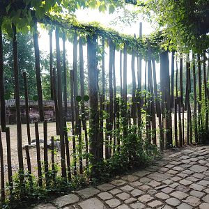 Savanna paddock viewing area, 2022-08-20