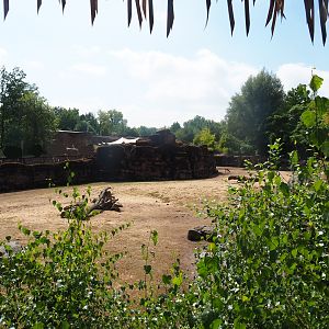 Savanna paddock, 2022-08-20