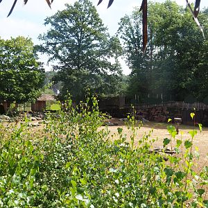 Savanna paddock, 2022-08-20