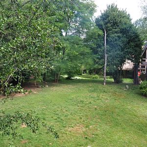 African wild dog exhibit and Savanna Lodge, 2022-08-20