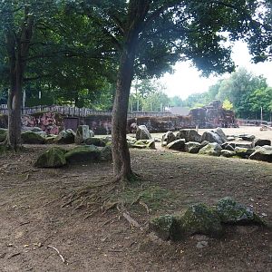 Savanna paddock - Rocky area with trees, 2022-08-20