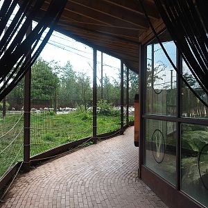 Flamingo aviary viewing area, 2022-08-20