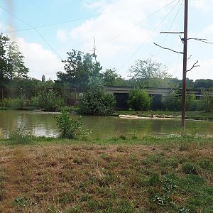 Flamingo aviary, 2022-08-20