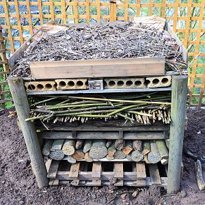Bug hotel
