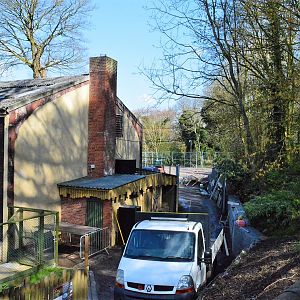 Additional giraffe paddock under construction
