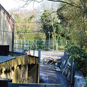 Additional giraffe paddock under construction