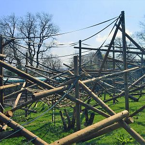 New orangutan enclosure