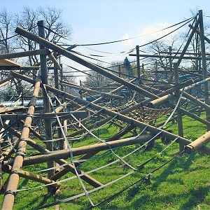 New orangutan enclosure