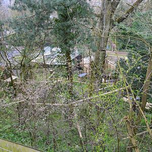 Overhead view of red panda enclosure under renovation.