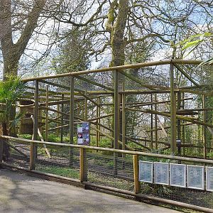 Temporary red panda enclosure