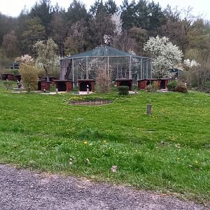 View of Birds of Prey Aviarys