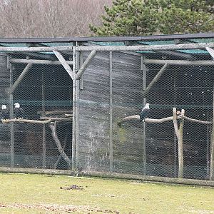 Wildpark Potzberg - Bird of prey aviaries