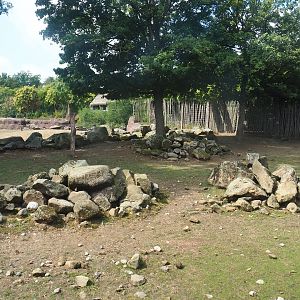 Savanna paddock - Rocky area with trees, 2022-08-20