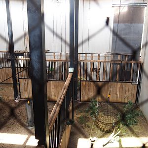 Hoofstock stables, 2022-08-20