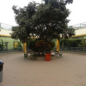 Small cat square - Parque de Las Leyendas