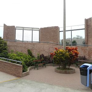 Square in the Felinario - Parque de Las Leyendas