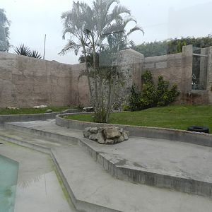 Bengal tiger exhibit I - Parque de Las Leyendas